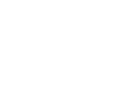 Governt Logo